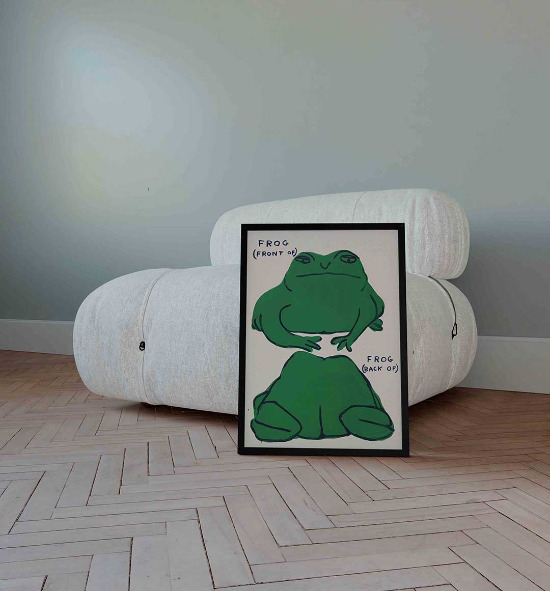 Groene kikker Poster