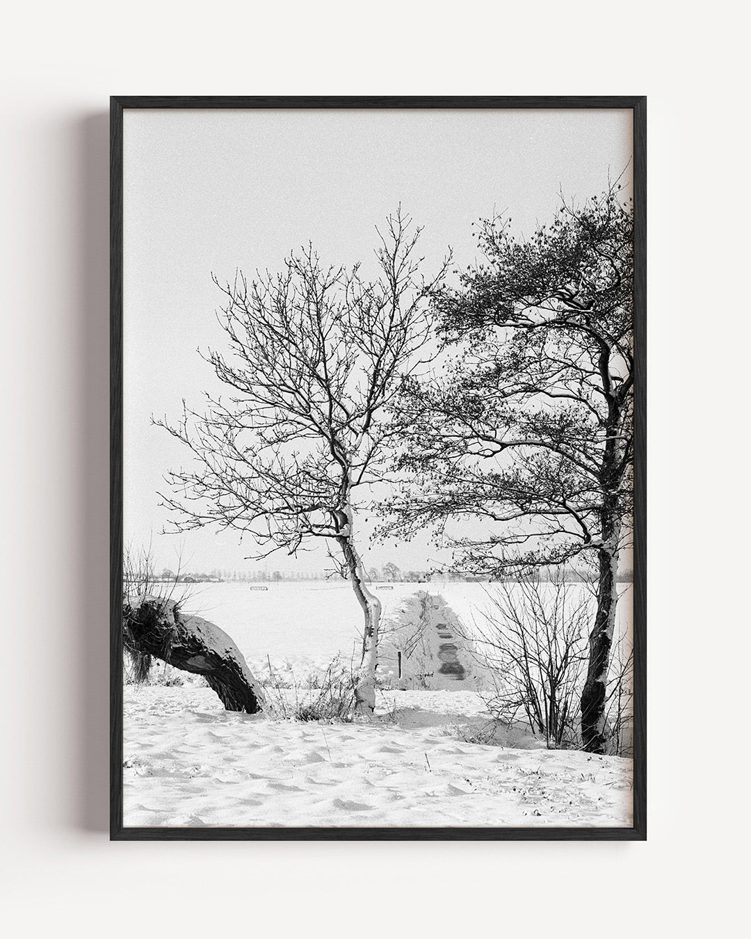 Winterlandschap met bomen Poster