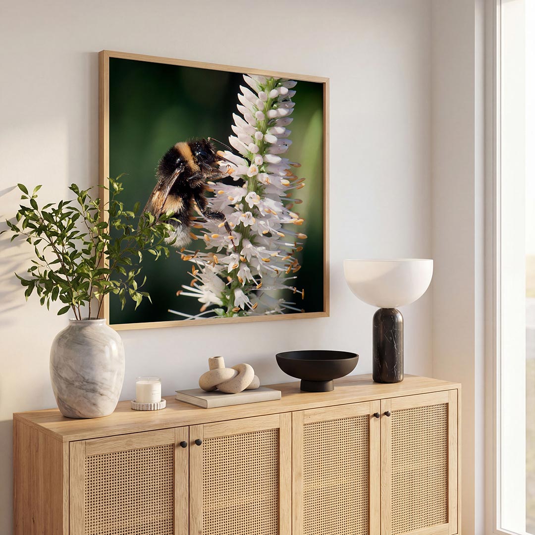 Bij op bloem Poster