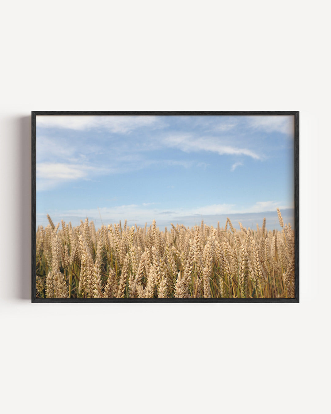 Gouden tarweveld Poster