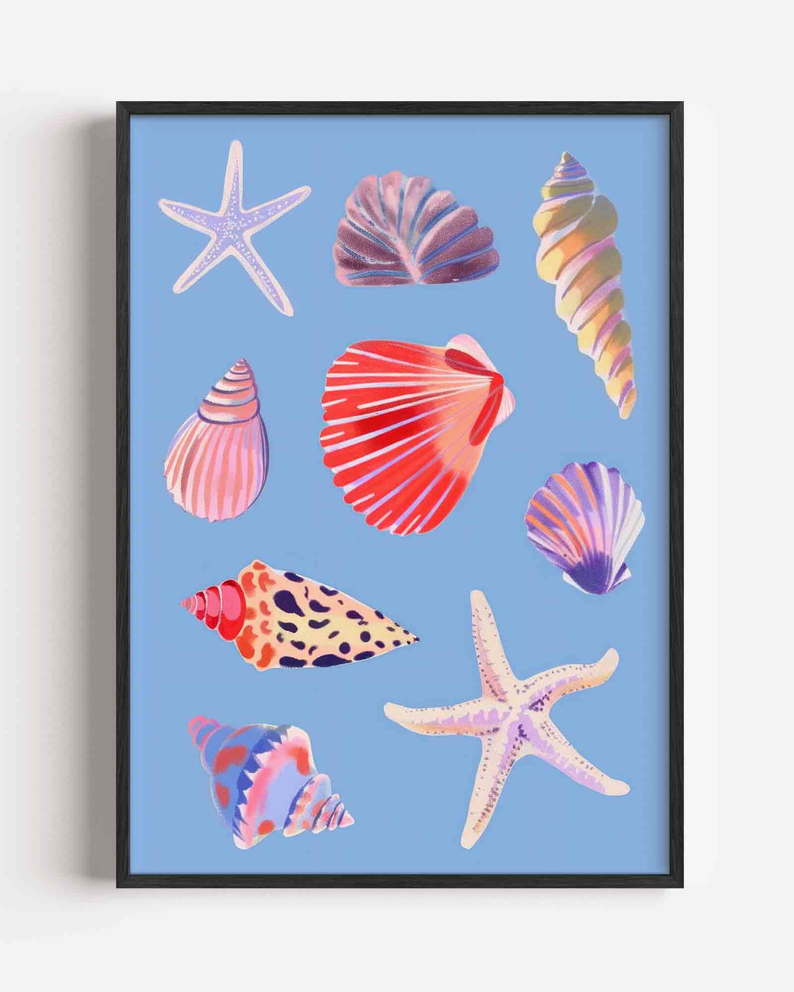 Schelpen en zeesterren Poster
