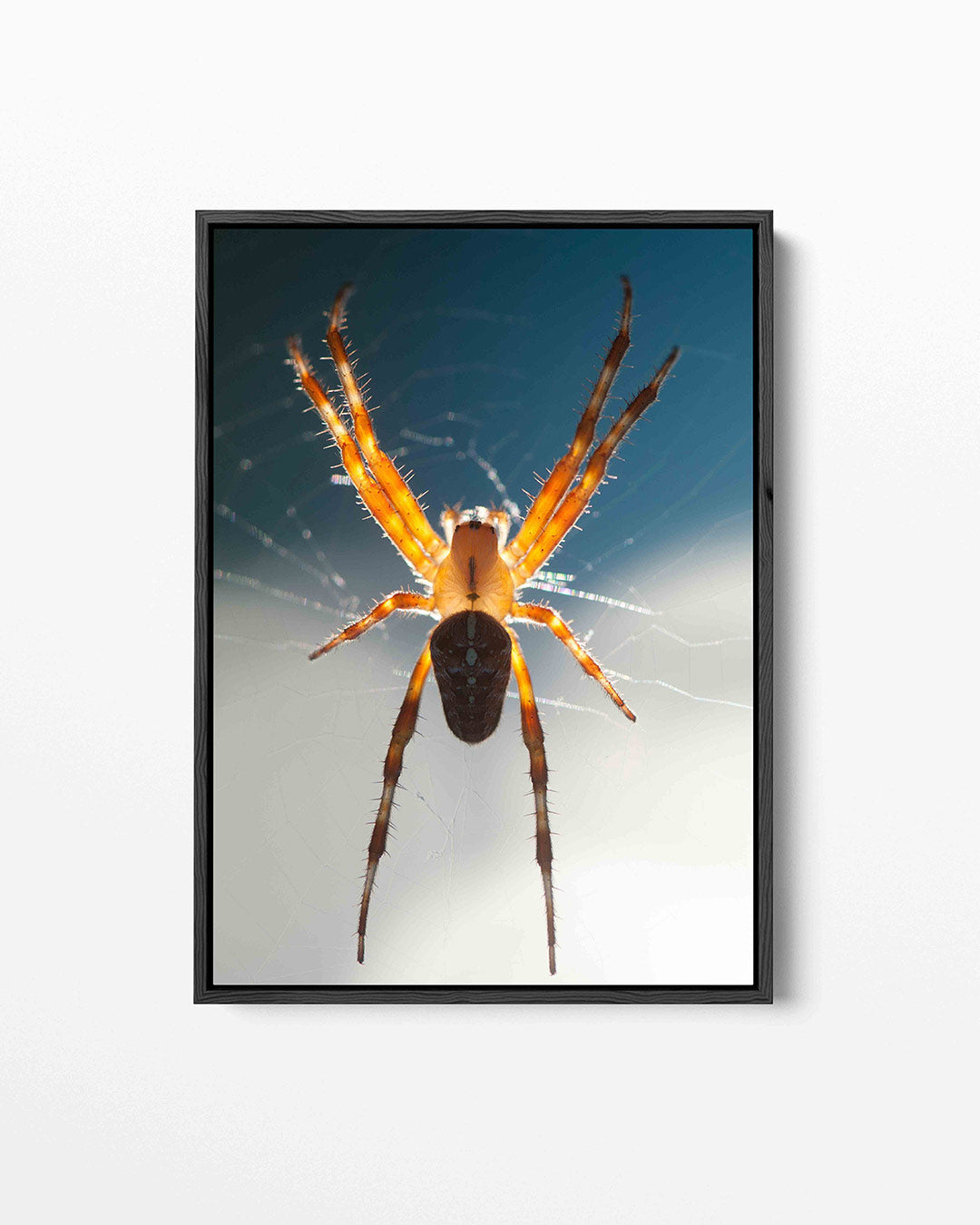 Spin in web Kunstwerk