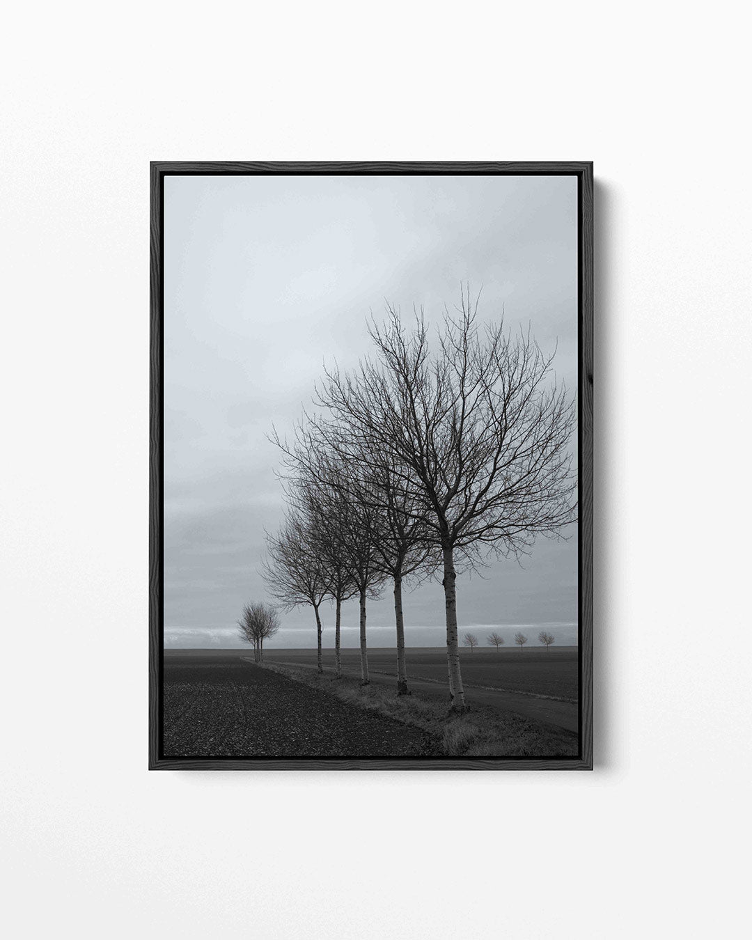 Lijn van bomen Kunstwerk
