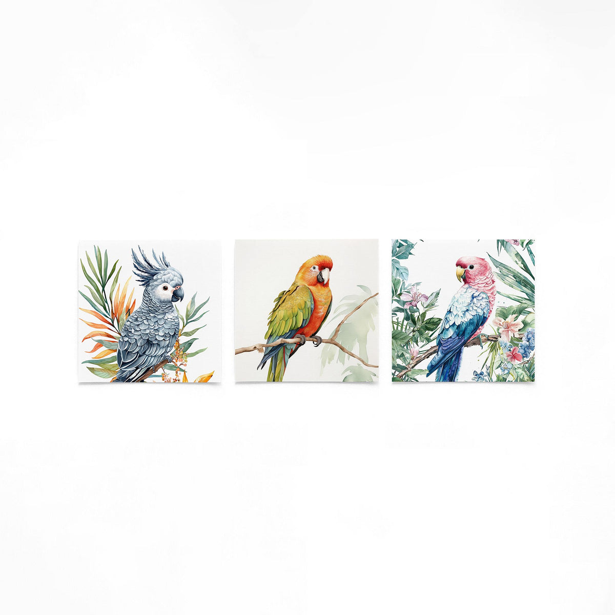 Drie vierkante posters met tropische papegaaien op een gebroken witte achtergrond