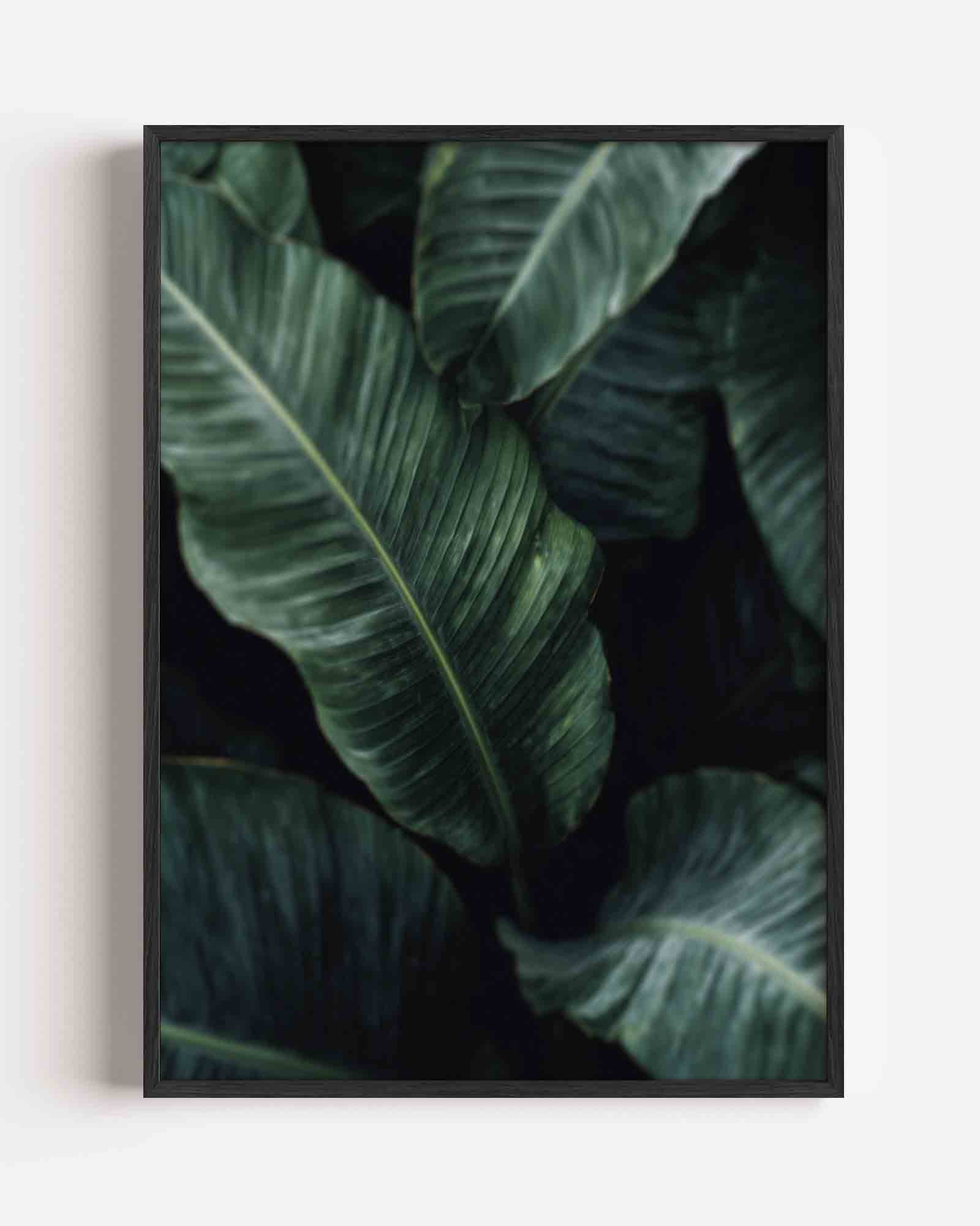 Groene bladeren Poster