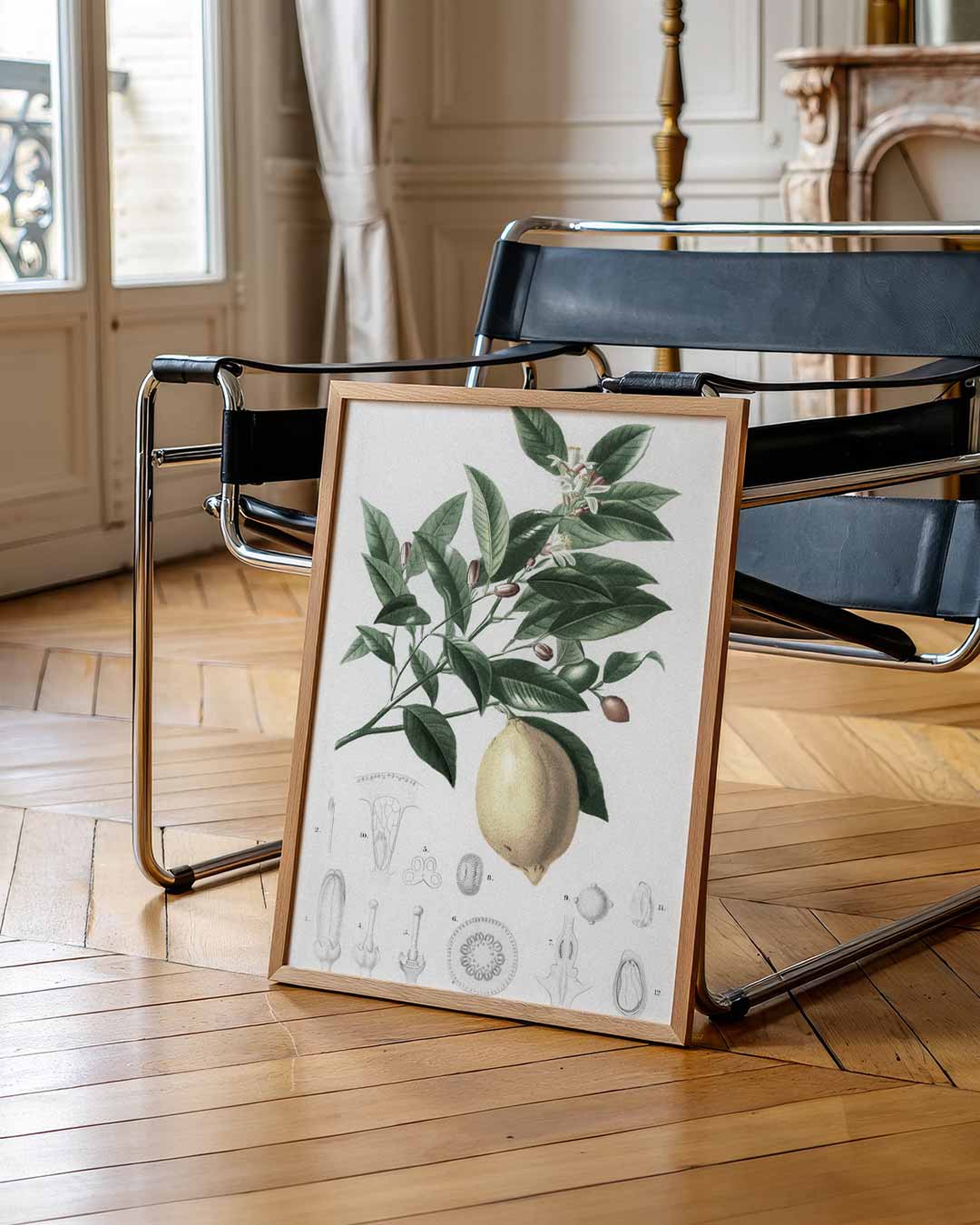Botanische Citroenprint Poster-WallArtistic