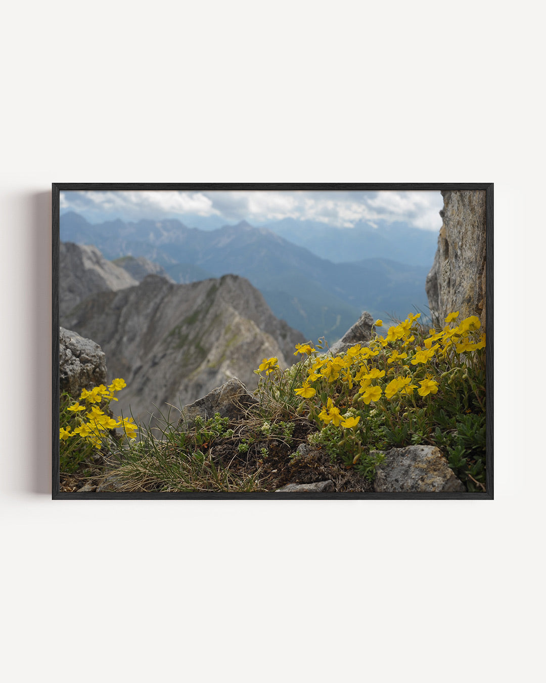 Berglandschap met bloemen Poster