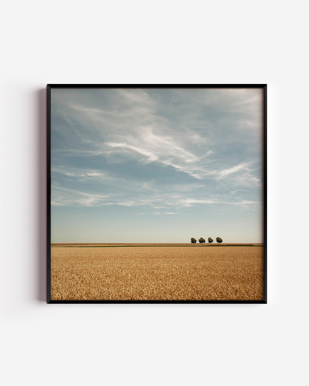 Rustige landschap Poster