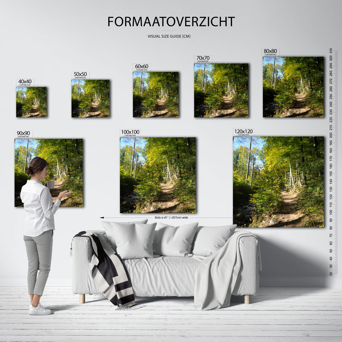 Boswandeling in de zon Poster