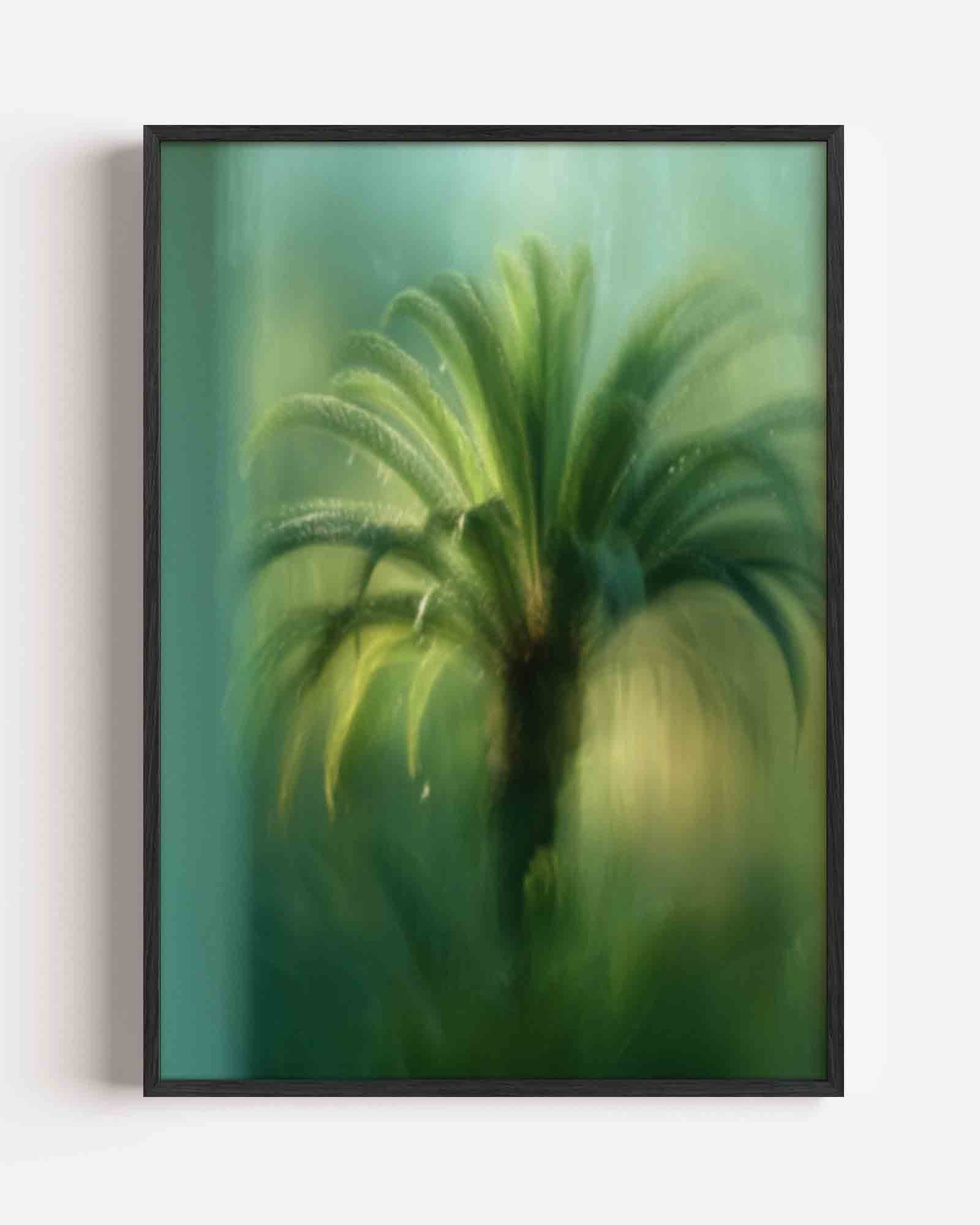 Groene palm Poster