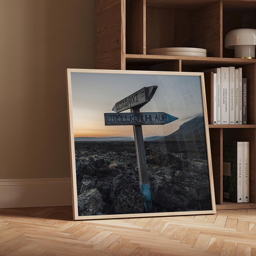 Wegwijzer in landschap Poster