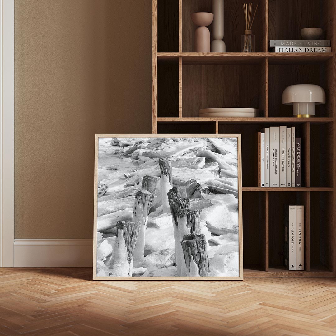 Ijs en houten palen Poster