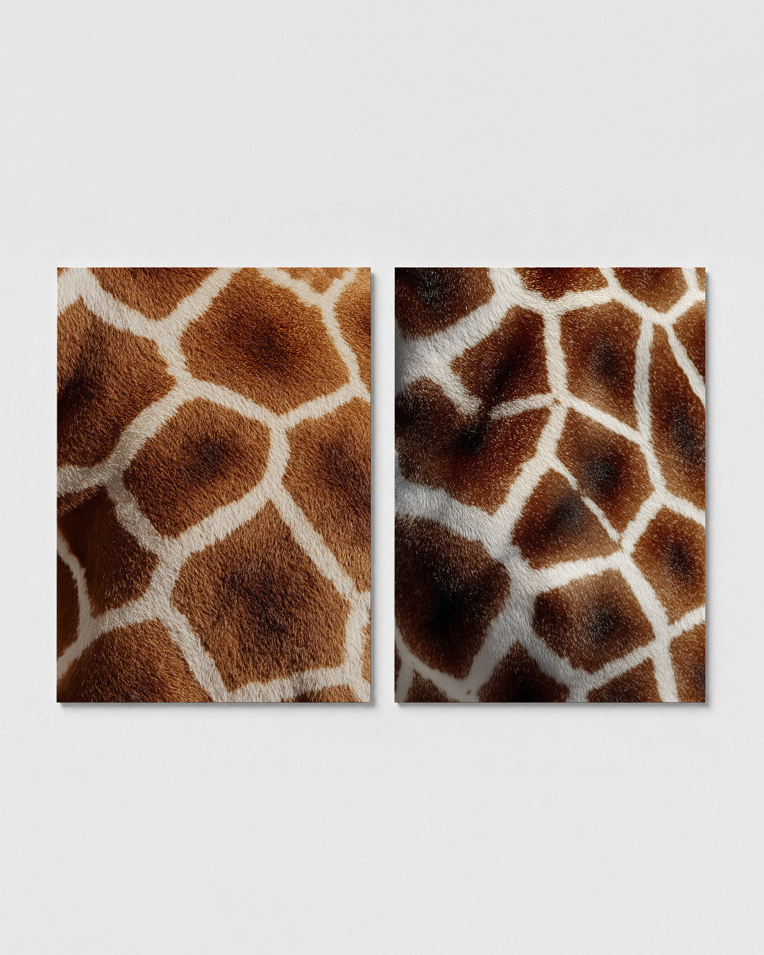 Vorm en kleur Posterset
