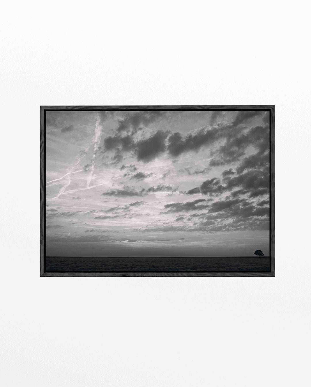 Eenzame boom landschap Kunstwerk